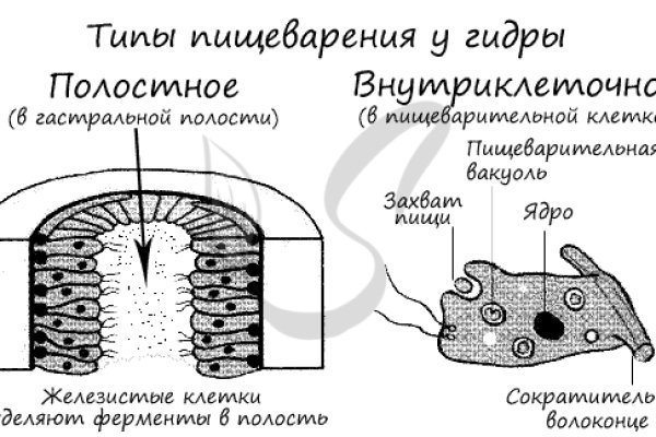 Kra44.at