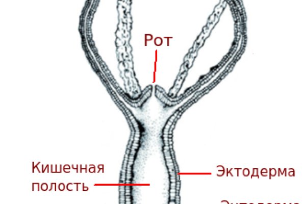 Кракен маркет это