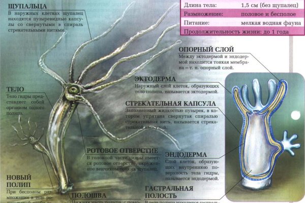 Аналог гидры