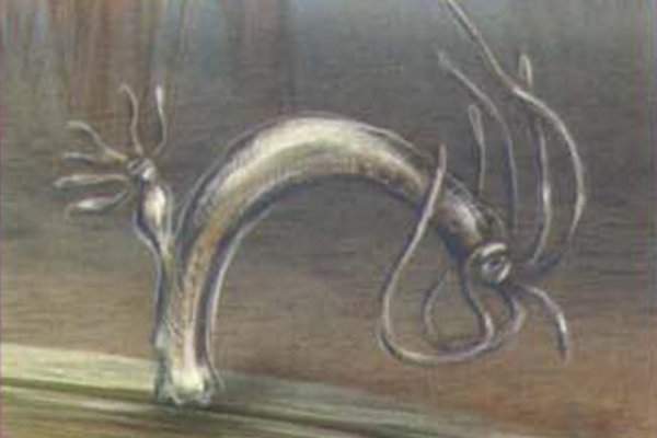 Kra36.cc